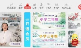 国产三页,创新驱动，引领未来科技发展